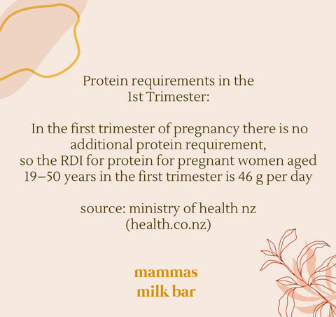 Safe Protein for Pregnant Women first trimester