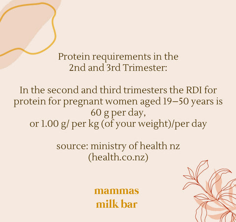 Safe Protein Breastfeeding Women second and third trimester