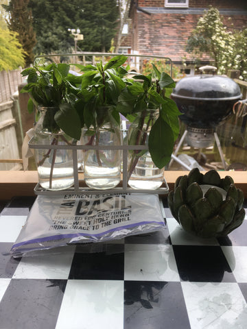 Growing Thai Basil from supermarket 