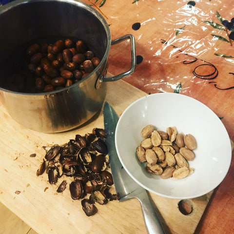 Making Acorn Coffee