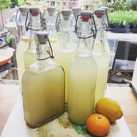 Naturally fermented orangeade