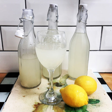 Fermented Lemonade Recipe