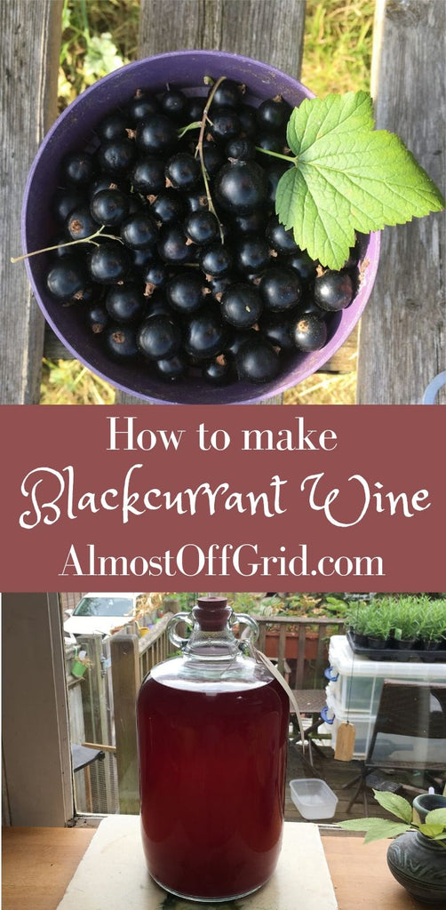 Blackcurrant Wine Recipe