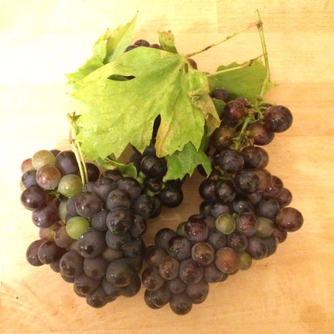 Make wine from garden grapes
