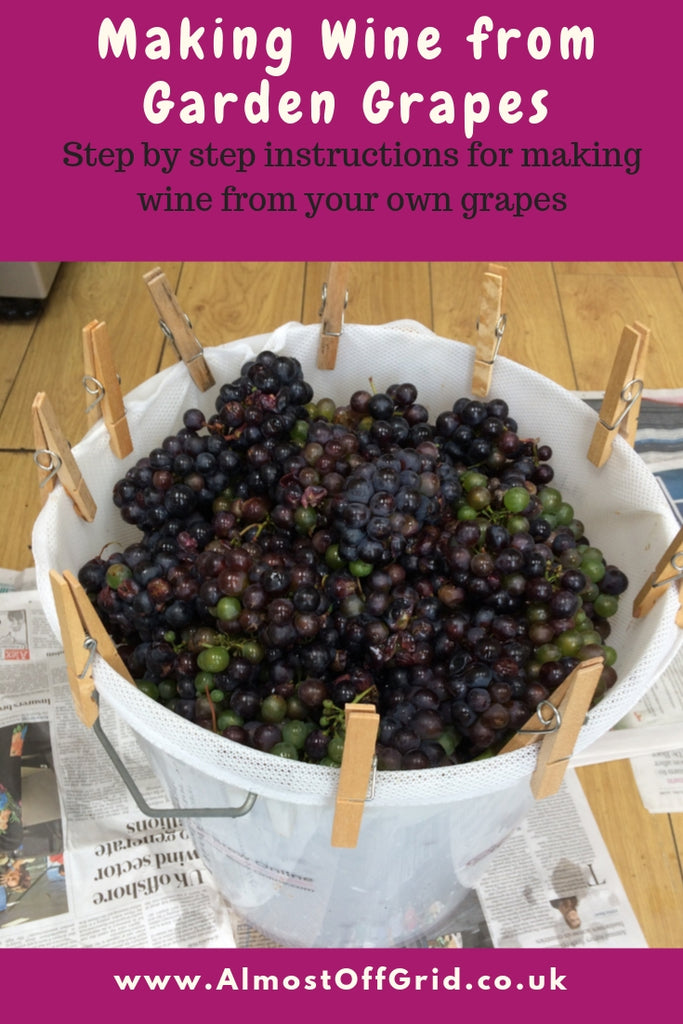 Making Wine from Garden Grapes