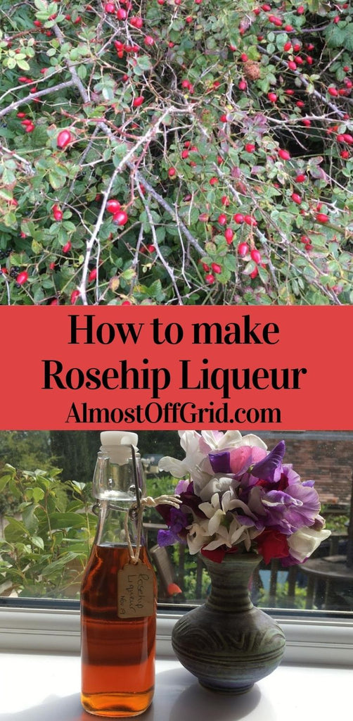 Rosehip Schnapps Recipe