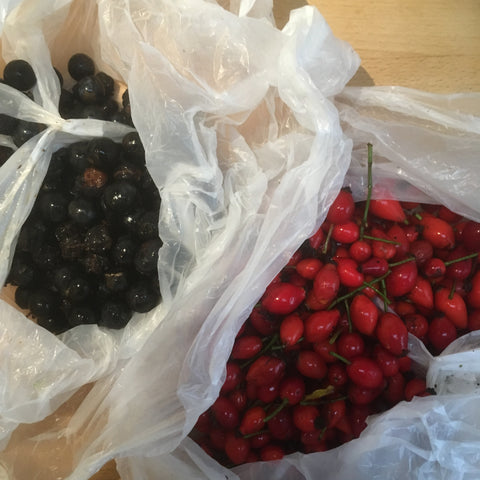 Rosehips and Sloes