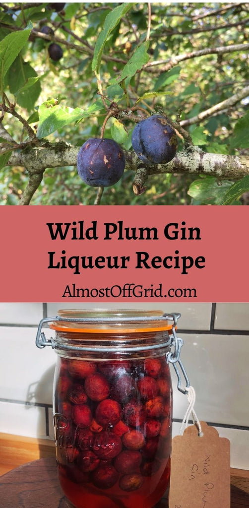 Wild Plum Liqueur Recipe