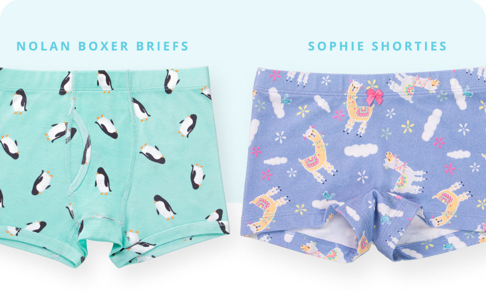 nolan boys boxer briefs and sophie girls shortie underwear