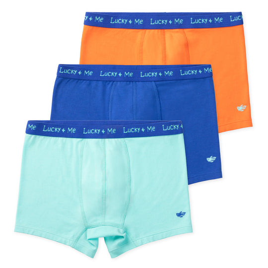 Buy Lucky & Me, Lucas Boys Briefs, Children's Cotton Underwear, Tagless
