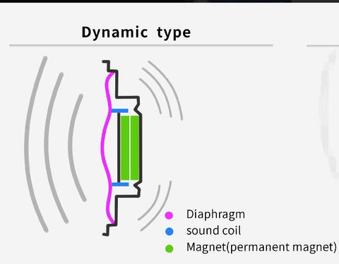 DD  diaphragm