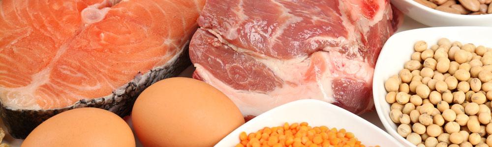 High protein diet and constipation