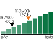 Tigerwood hardness