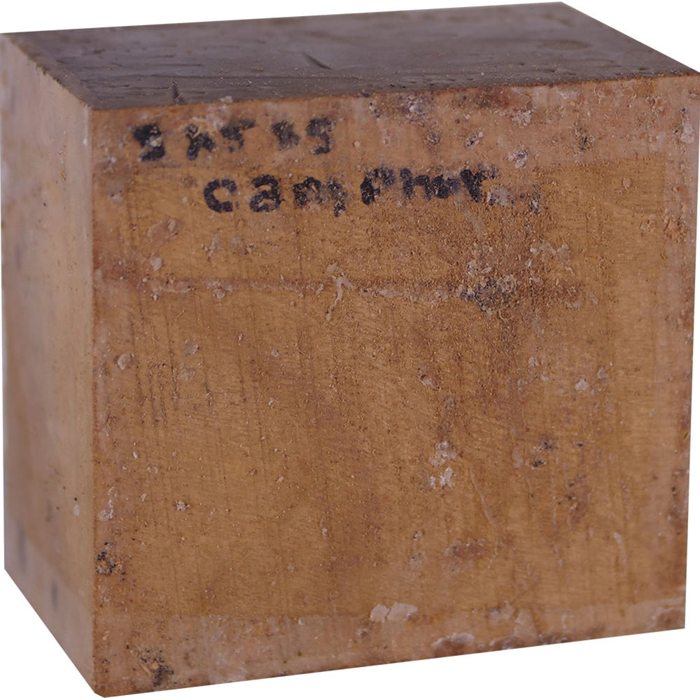 3″ x 5″ x 5″ Camphor Turning Blank