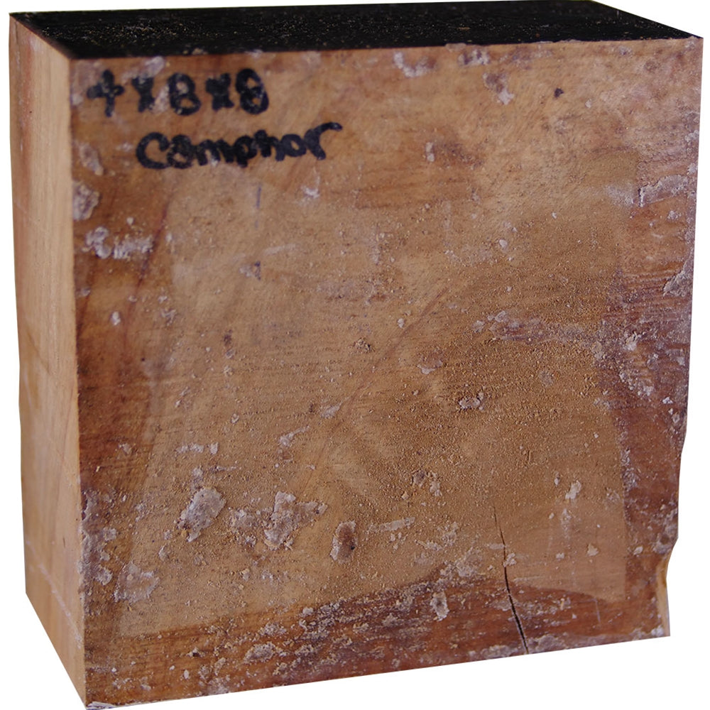 4″ x 8″ x 8″ Camphor Turning Blank