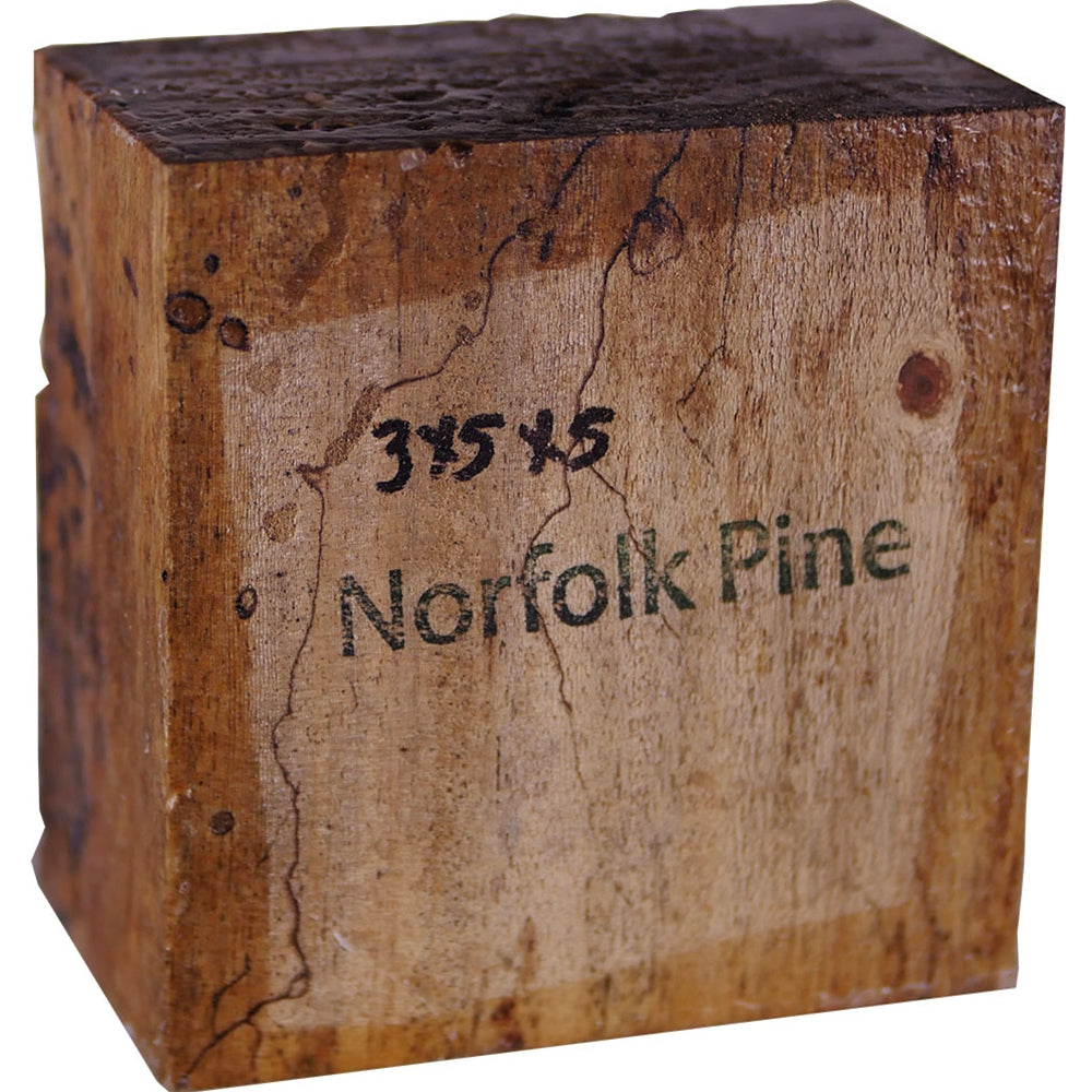 3″ x 5″ x 5″ Norfolk Island Pine Turning Blank