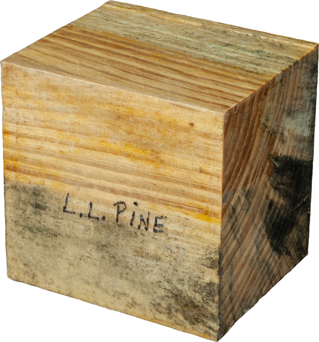 4″ x 5″ x 5″ Long Leaf Pine Turning Blank