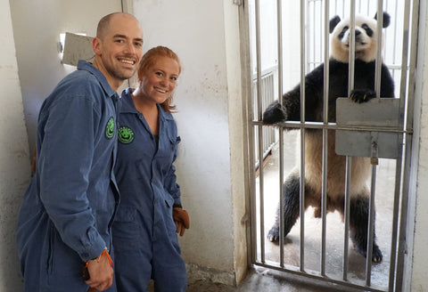 panda volunteers-blog