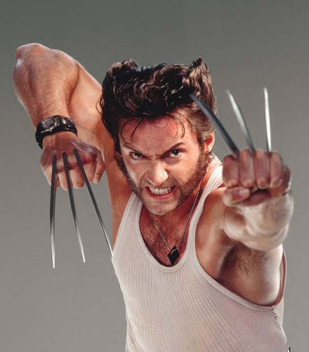 the wolverine watch free online