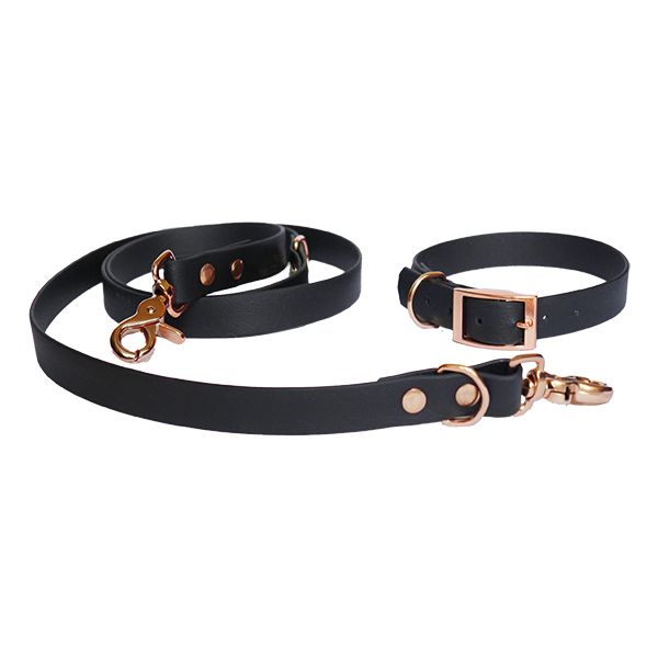 Biothane - Black Leash with Rose Gold Hardware