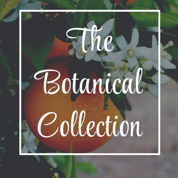 The Botanical Collections
