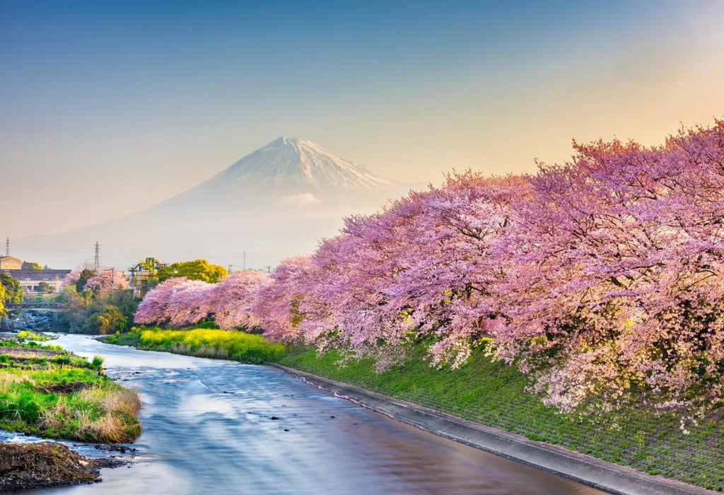 The Japan Society - Setsubun - Marking the Arrival of Spring