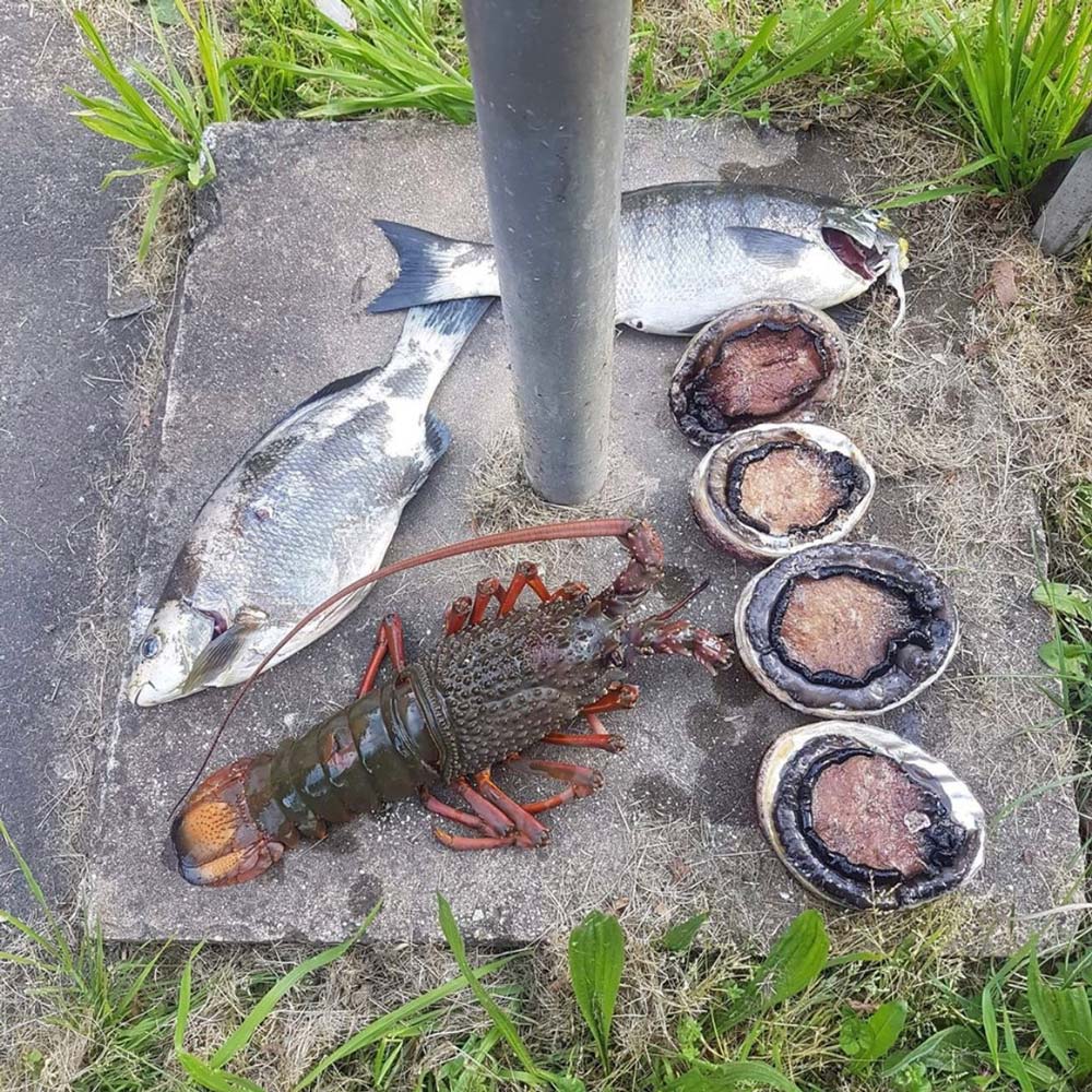 mixed bag of fish and abalone