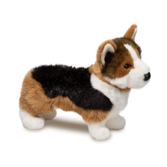 Chadwick Corgi