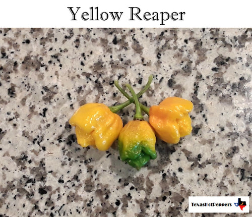 https://cdn.shopify.com/s/files/1/0266/2616/2740/products/Yellow_reaper_2018_250x250@2x.jpg?v=1575592653