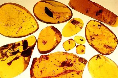 Amber stone properties and color