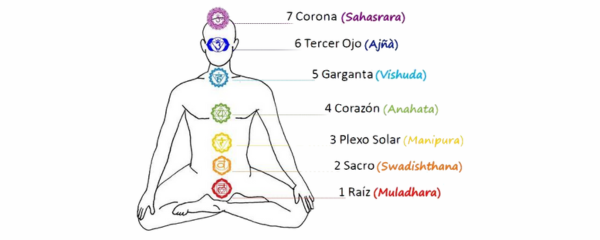 chakras localización