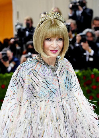 Anna Wintour's Met Gala 2022 look on the red carpet