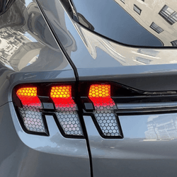 Einstiegsleisten Schutz Ford Mustang Mach-E I ab 2021 - im 4er Set (Carbon)  - Fritz Motorsport