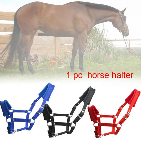 horse-bridle