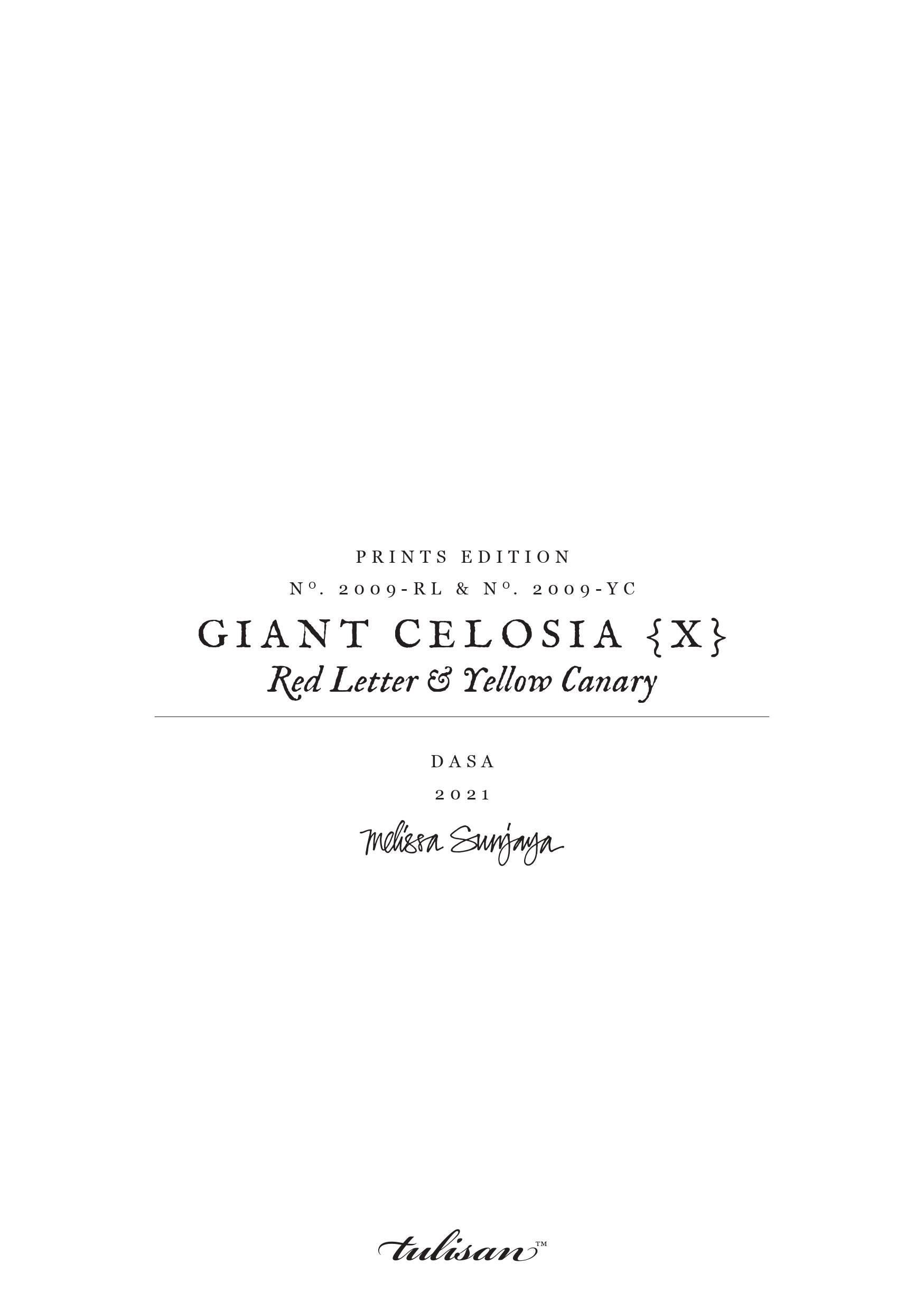 GIANT CELOSIA { X } - Red Letter & Yellow Canary