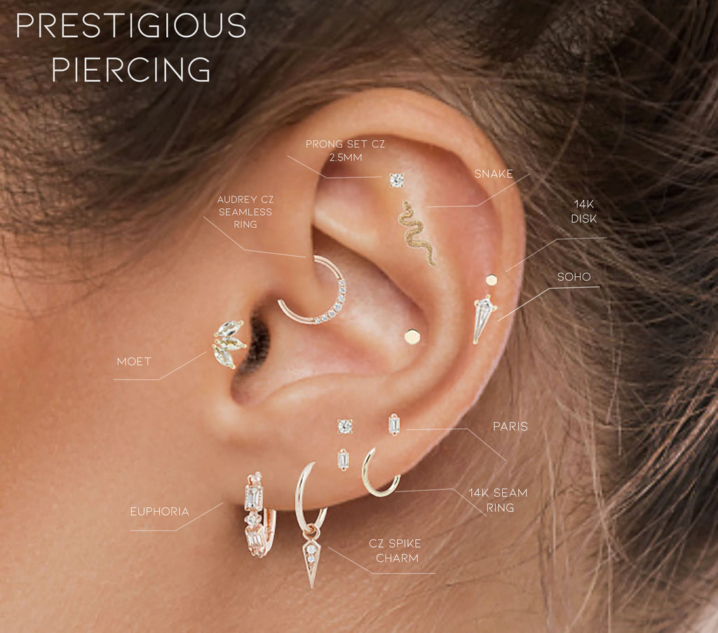 Custom Curation | Prestigious Piercing