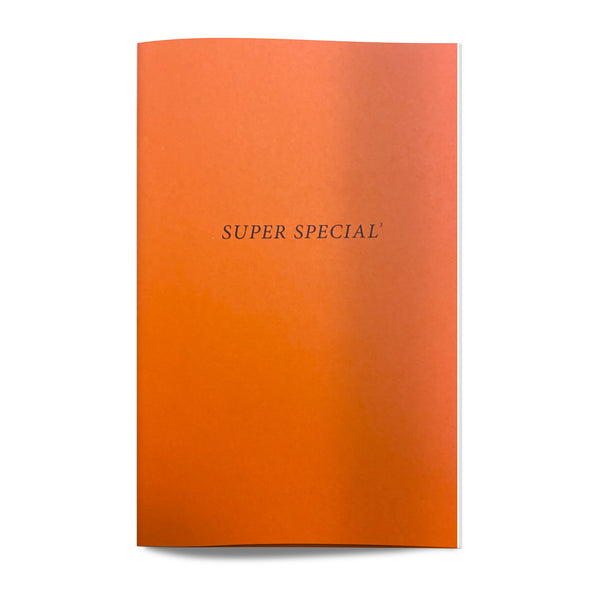 Summer of Something Special Vol. IV (Book) – Dale Zine Shop