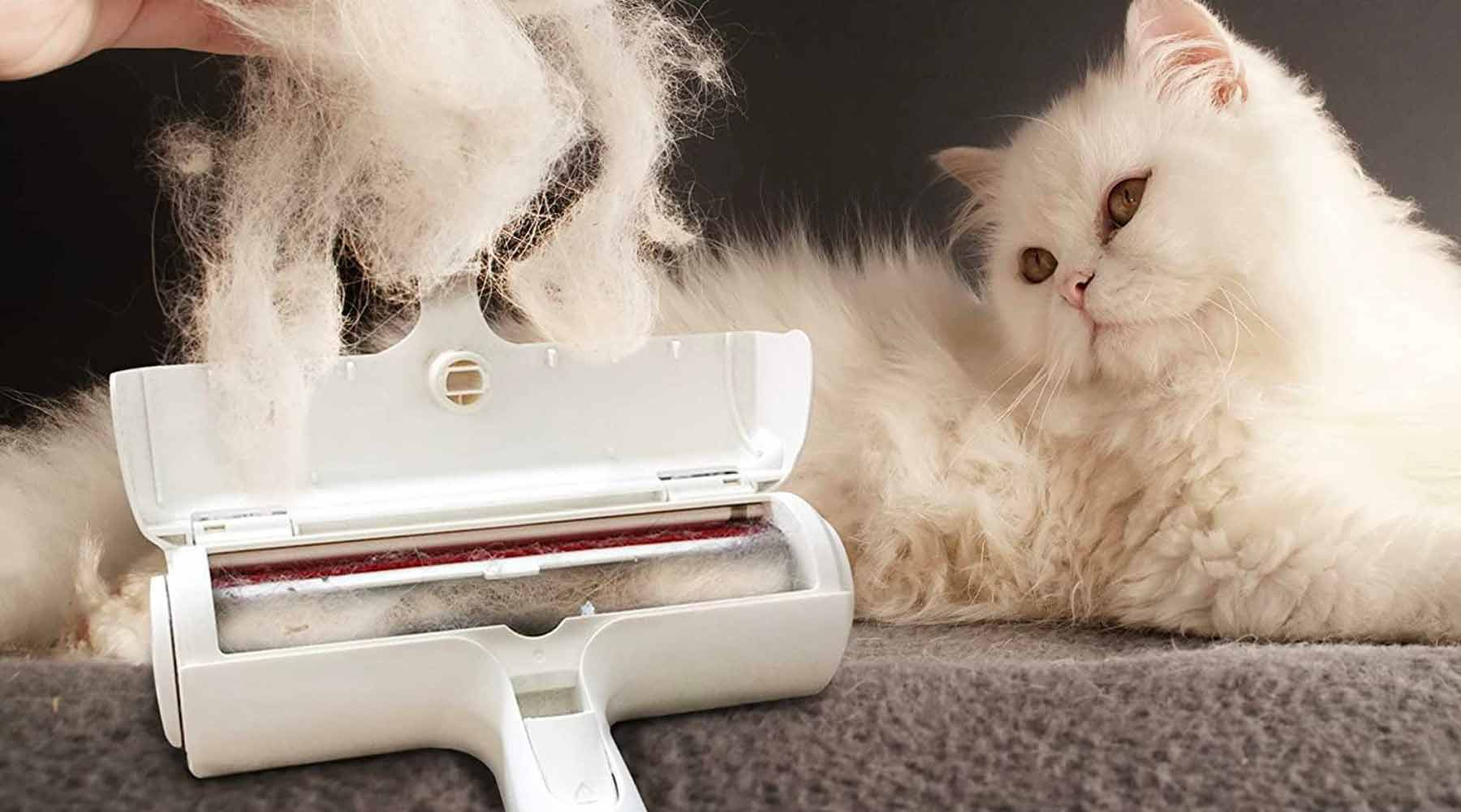 Hair remover is one of the best pet products to sell online