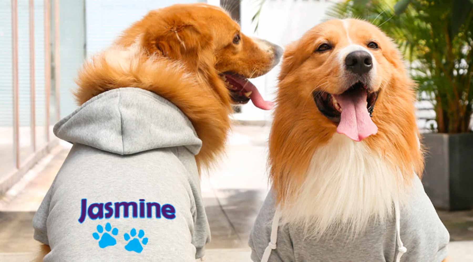 hoodie is one of best selling print on demand pet clothes