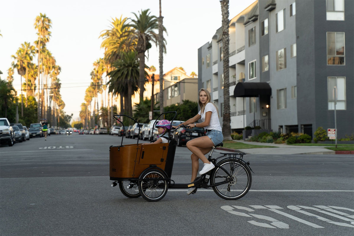 three wheel cargo bicycle