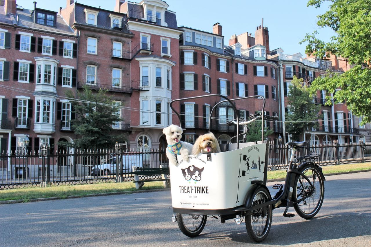 Cargo Bike Experiences