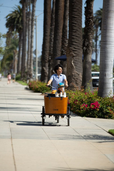  Bikes for carrying toddlers