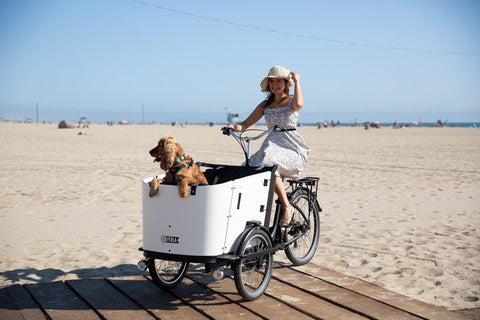 biking with dog