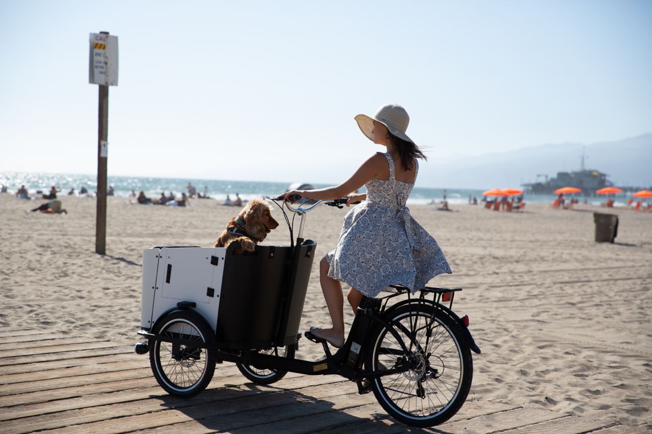 Cargo bike