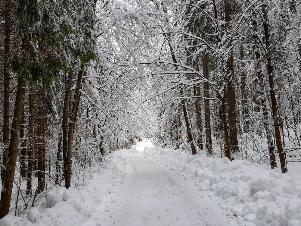 Riding a cargo bike in the winter