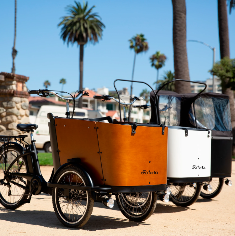 Special Needs Tricycle  Electric Bikes for Disabled Adults