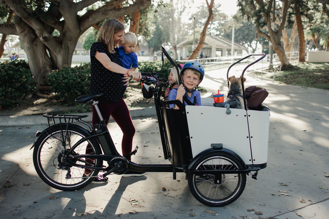 Cargo bike for twins