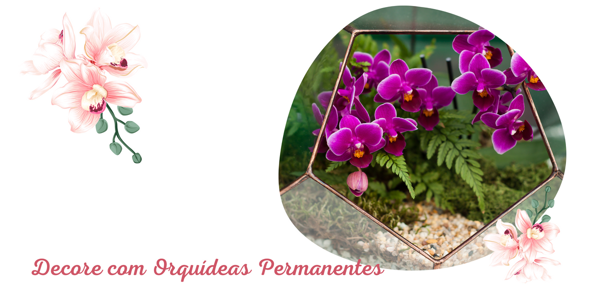 Como decorar com orquídeas permanentes