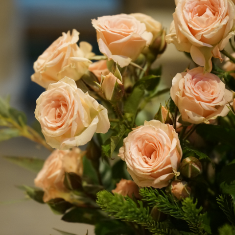 Rosas Artificiais - Guia de Cores e Seus Significados