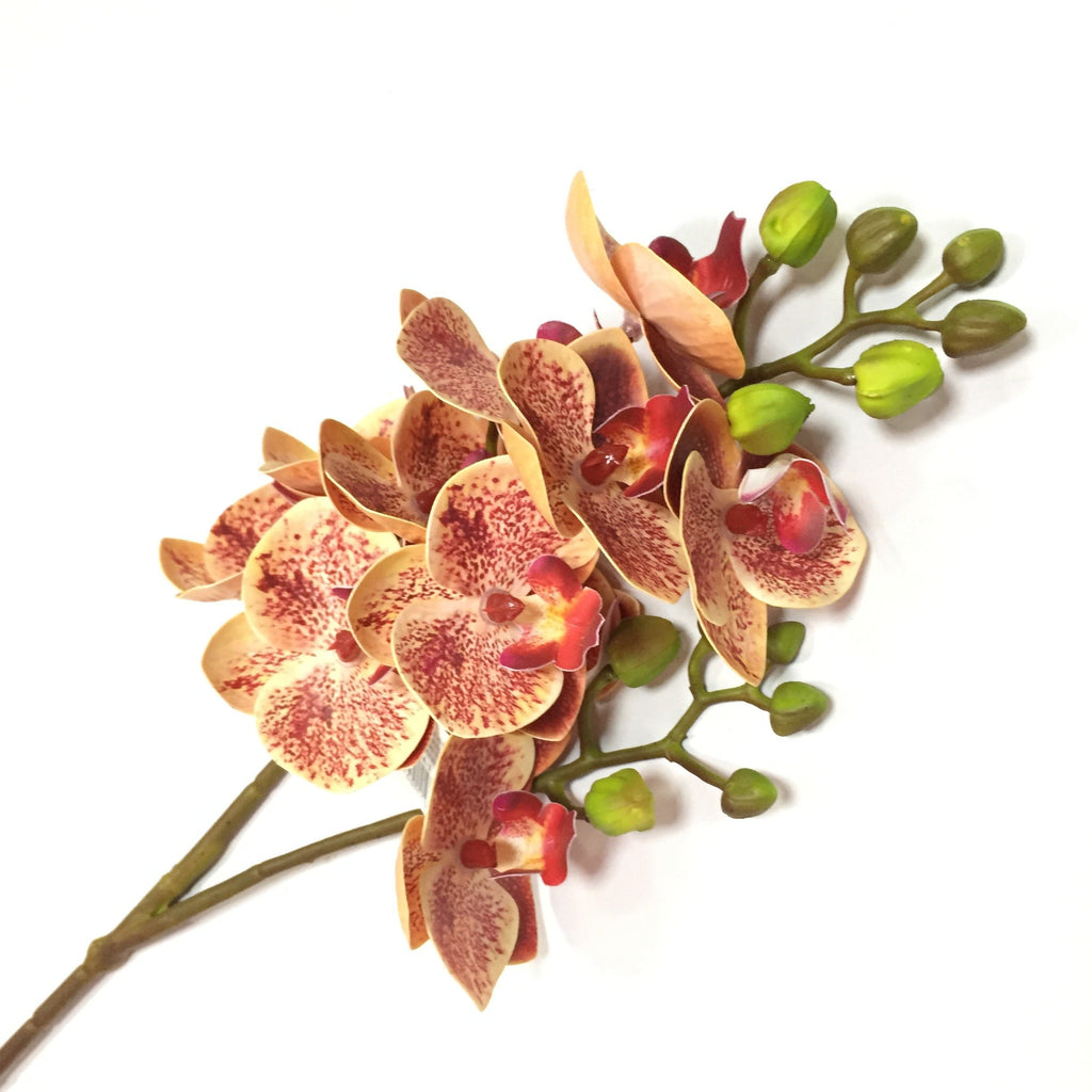 Orquídea tailandesa galho com 9 e mini galho com 2 flores XF004 - Cheiro de  Saudade